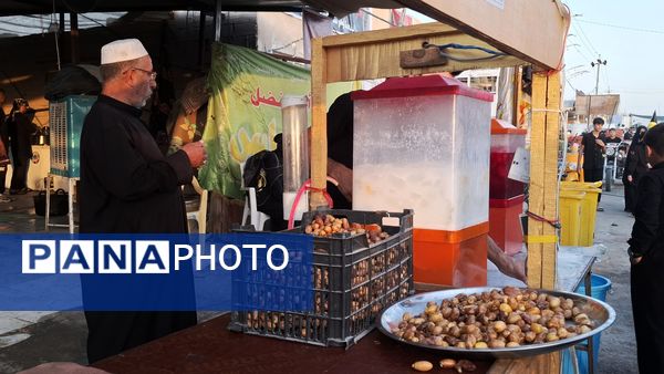 لحظه‌های ناب عاشقی در مشایه اربعین 