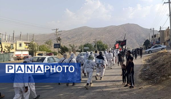 کاروان پیاده انصارالحسین به منطقه خانمیرزا رسید 