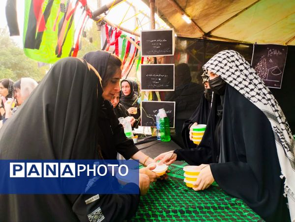 پیاده‌روی جاماندگان اربعین در میاندورود 