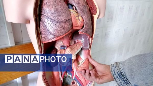 سفری علمی به پژوهش‌سرای صدرا بروجن