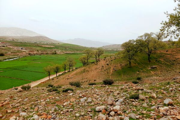 بهار، آغاز دوباره‌ی زندگی طبیعت 