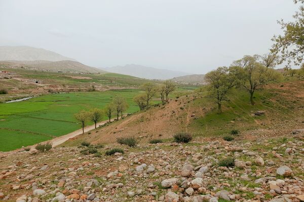 بهار، آغاز دوباره‌ی زندگی طبیعت 