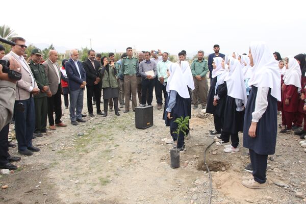 روز درختکاری در رودان