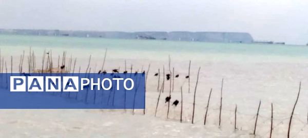 باران، چهره بندرعباس را تازه کرد