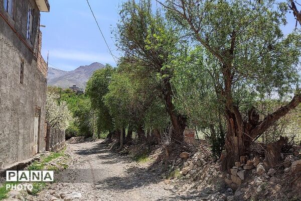 آلبوم تصویری از طبیعت زیبای شهر بار در اردیبهشت‌ماه  ۱۴۰۵ -1