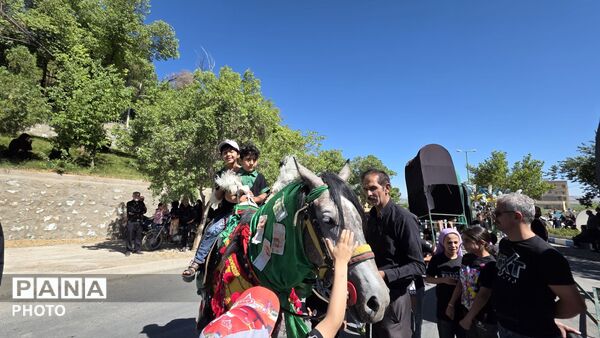 آیین چاق چاقو