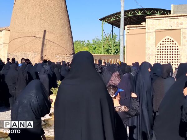 نخل‌برداری روز عاشورا در روستای صالح آباد شهرستان تفت