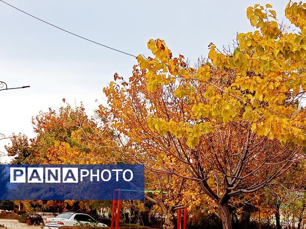 کاشمر در برگریزان پاییز