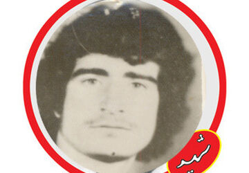 زندگینامه شهید انقلابی علی تقویان