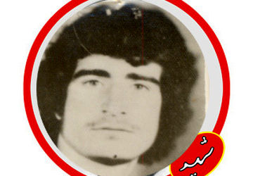 زندگینامه شهید انقلابی علی تقویان