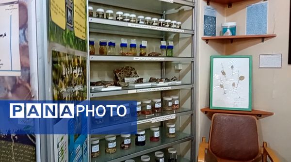 بازدید  خبرنگاران مسئله محور از موسسه گیاه پزشکی تهران