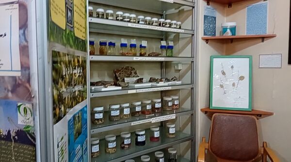 بازدید  خبرنگاران مسئله محور از موسسه گیاه پزشکی تهران