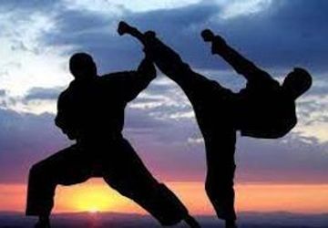 اولین جلسه هم‌اندیشی هنرهای رزمی سبک «شینمو هاپکیدو» استان فارس