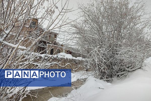 برف بارید و خدا پاکی خود را به شهر زیبایی بار هدیه کرد
