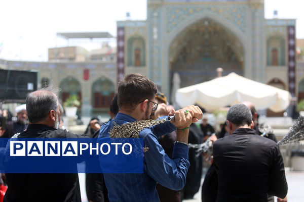 عزاداری شهادت دختر سه ساله امام حسین(ع) در قم