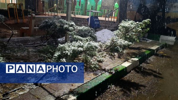 حال و هوای گلزار شهدا با بارش برف الهی