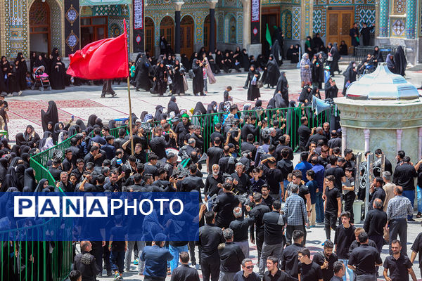 عزاداری تاسوعای حسینی(ع) در حرم حضرت معصومه(س)