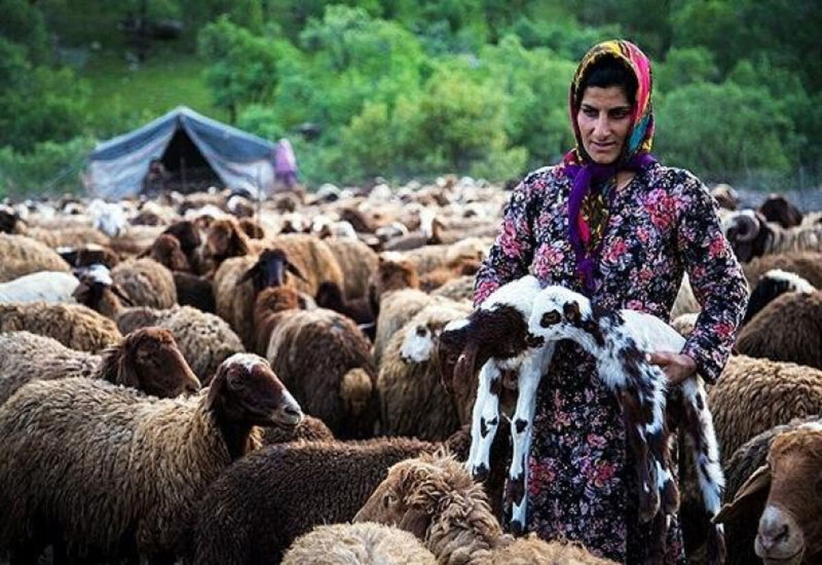 مستمری، عیدی و بسته معیشتی  مستمری‌بگیران صندوق بیمه روستاییان همزمان پرداخت می‌شود