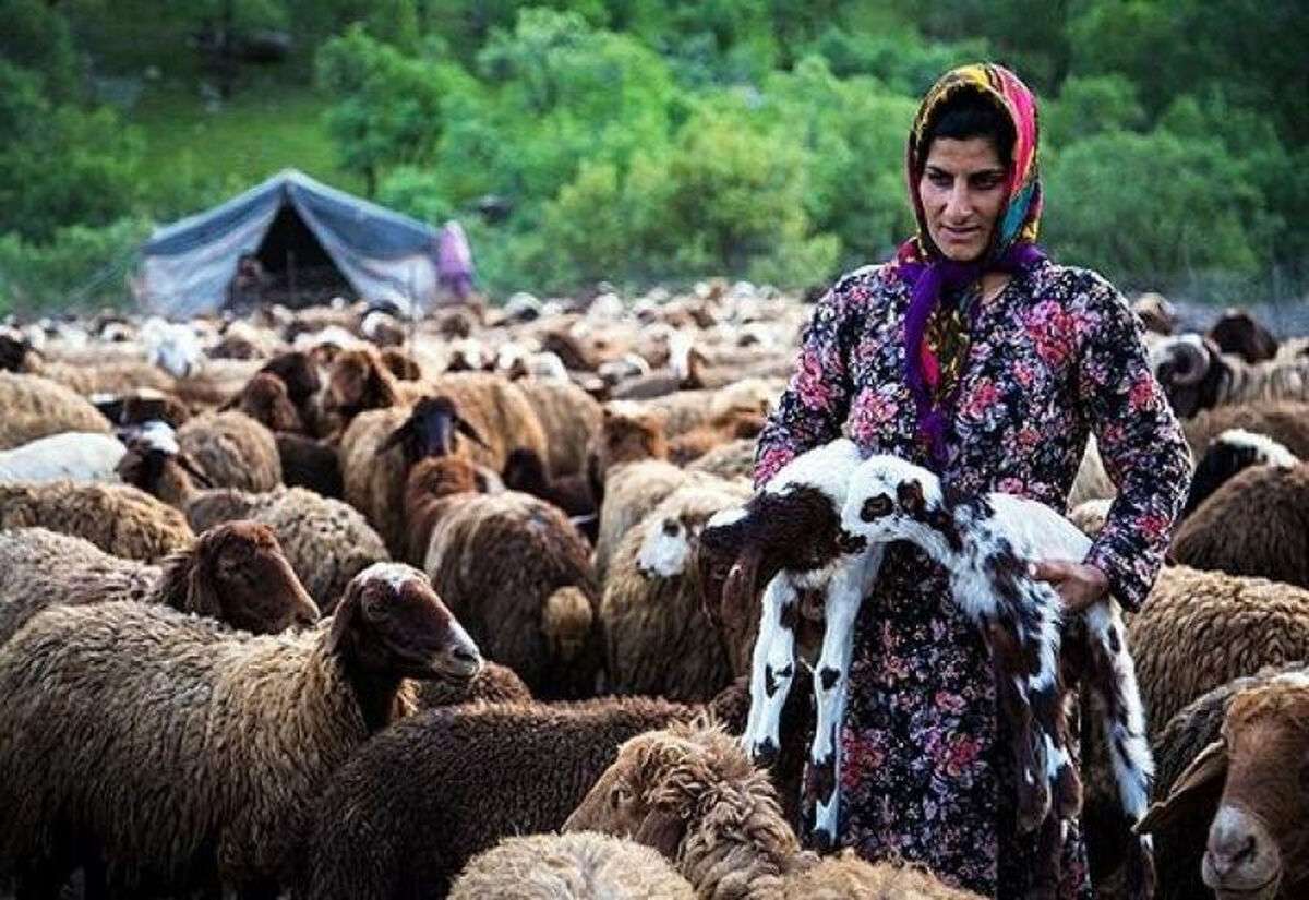 مستمری، عیدی و بسته معیشتی  مستمری‌بگیران صندوق بیمه روستاییان همزمان پرداخت می‌شود