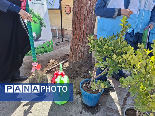 مراسم روز درختکاری در دبستان استاد شهریار 