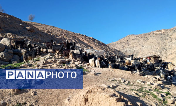 طبیعت بکر رفن در قاب‌ پانا