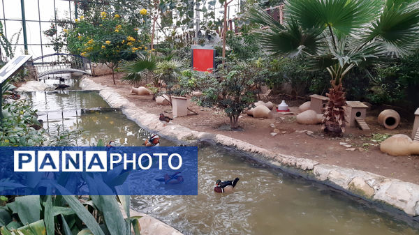 باغ پرندگان قم: جاذبه‌ای بی‌نظیر در قلب کشور