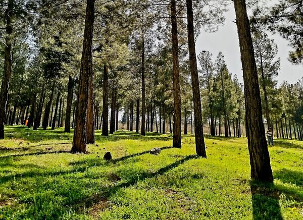 زیبایی های طبیعی شهرستان پاوه به روایت تصویر