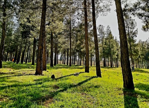 زیبایی های طبیعی شهرستان پاوه به روایت تصویر