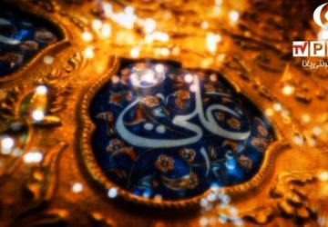 دکلمه خوانی خبرنگار پانا درباره عظمت امام علی (ع)  در روز پدر