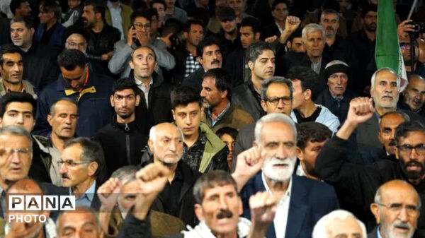 پنجاه شب میدان داری وحدت و همبستگی