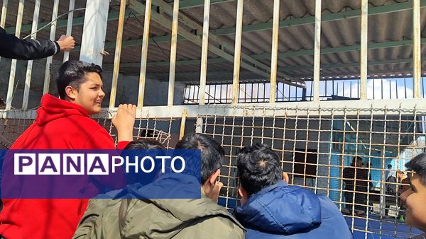 فینال مسابقات تنیس روی میز در دبیرستان شاهد ابوذر غفاری 