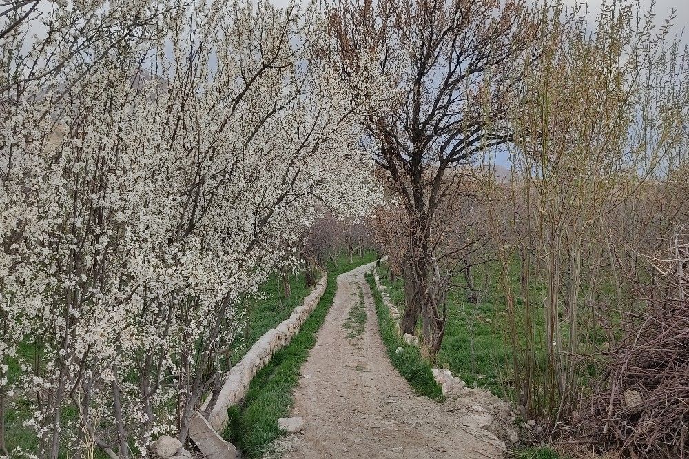 شهر بار نگین سبز خراسان رضوی میزبان فصل بهار 