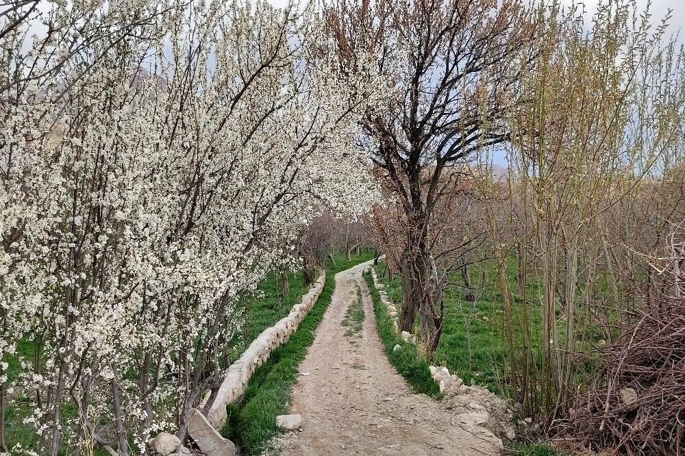 شهر بار نگین سبز خراسان رضوی میزبان فصل بهار 
