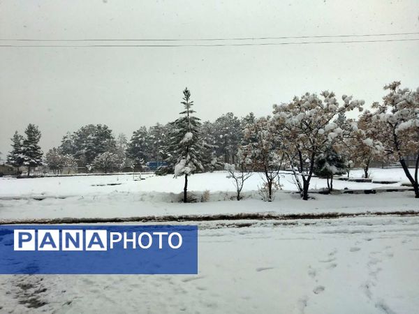 بارش برف در شهرستان تربت جام