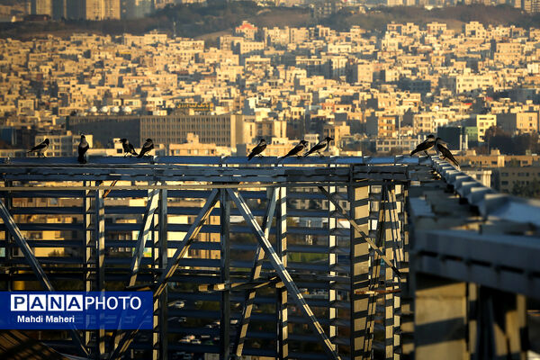 آلودگی هوای تهران