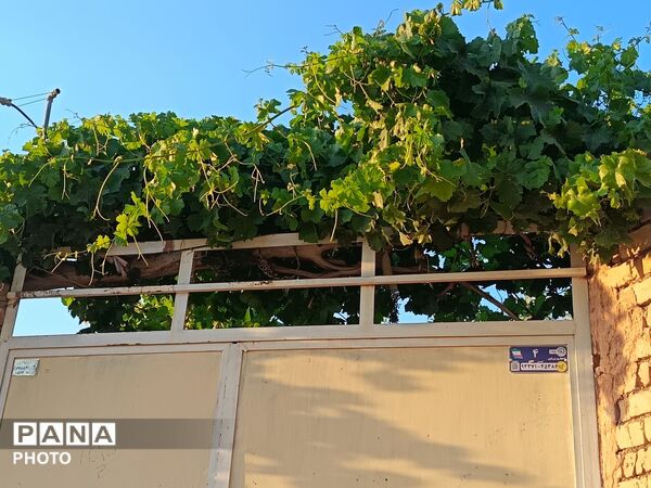 طبیعت در دل روستای برزنون،حال و هوای این دیار از قاب پانا