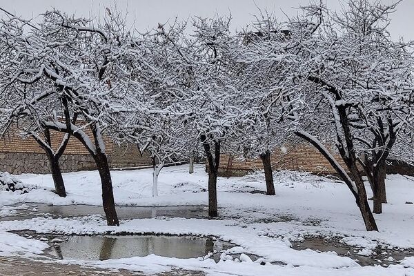 آسمان سخاوتمندانه نعمتش را در ماه شعبان به زمین شهر بار هدیه کرد