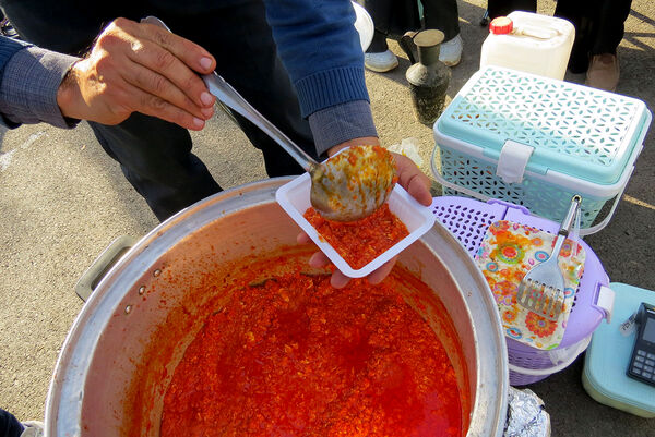 برگزاری جشنواره بومی محلی شهرستان بجنورد 