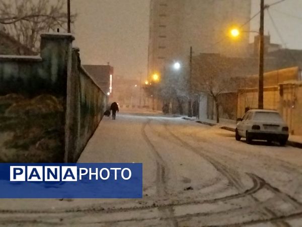 برف میهمان کاشمر شد