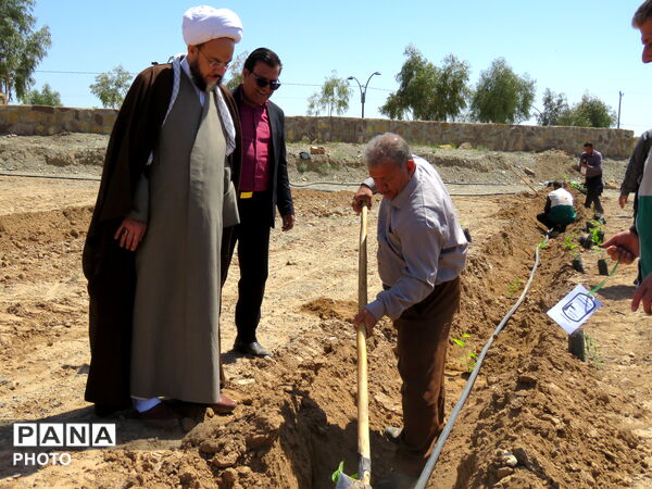 آیین "درخت سرو ایران" در شهرستان خلیل آباد 