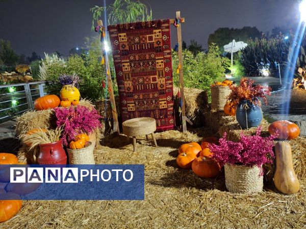 زیبایی باغ گل‌های مشهد در پاییز