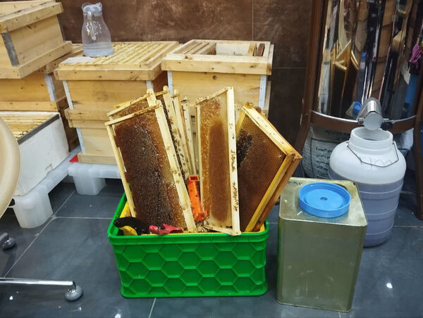 بازدید خبرنگاران پانا قم از مجموعه پرورش زنبور عسل 
