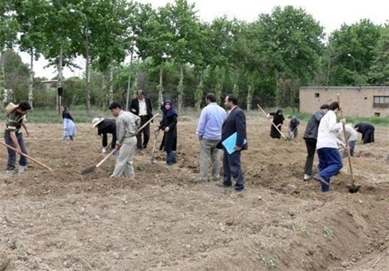 تلاش مجلس برای جذب فارغ‌التحصیلان هنرستان‌ها و دانشگاه‌های کشاورزی