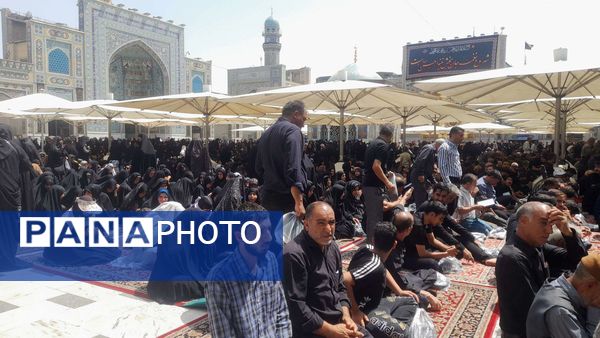 مشهد بوی کربلا گرفت