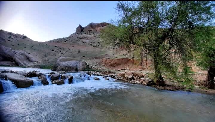 طبیعت سر سبز رفن به هنگام بهار