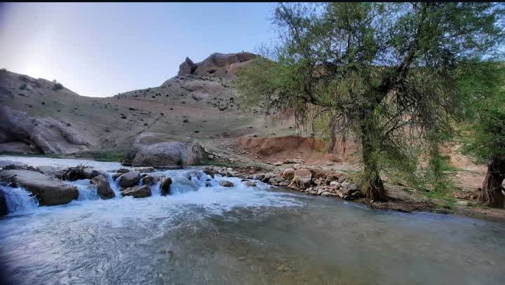 طبیعت سر سبز رفن به هنگام بهار