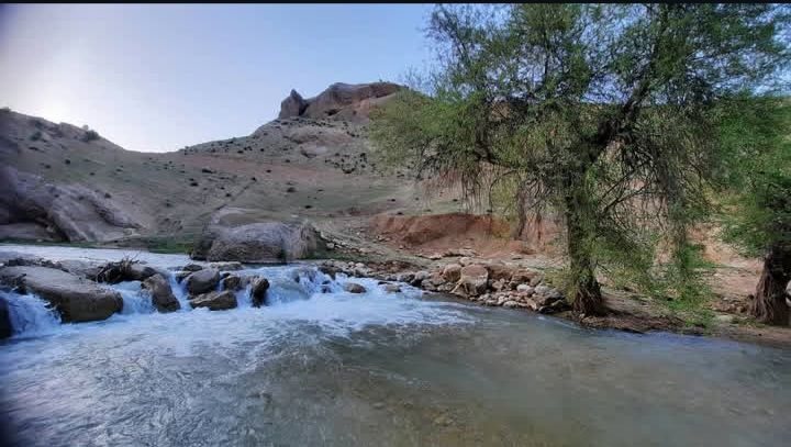 طبیعت سر سبز رفن به هنگام بهار