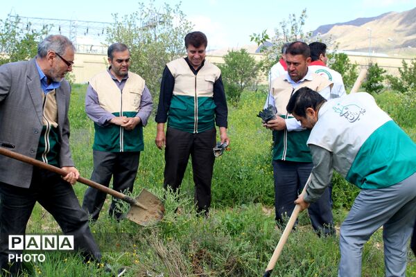 آیین درختکاری در سملقان