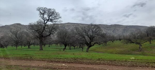 هنر در طبیعت نهفته است