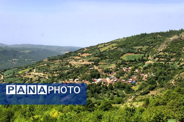 شهید وطن پس از ۴۲ سال به خانه بازگشت